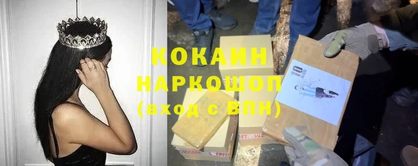 прущие грибы Алексеевка